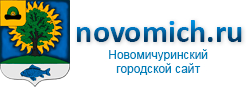 Новомичуринский городской сайт